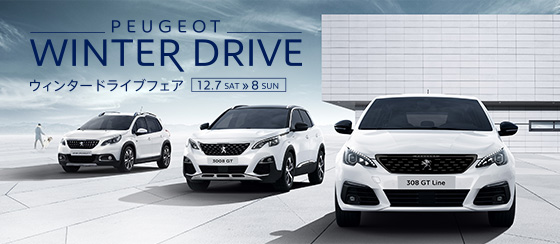 PEUGEOT WINTER DRIVE FAIR