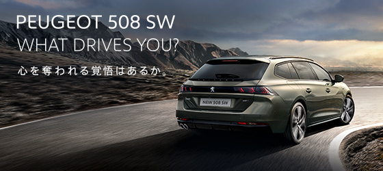 PEUGEOT WINTER DRIVE FAIR