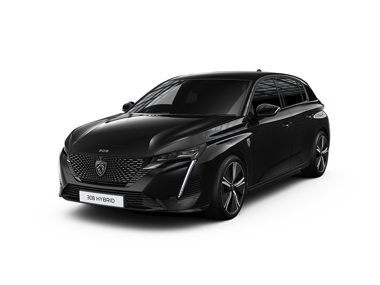 ペルラ・ネラ・ブラック