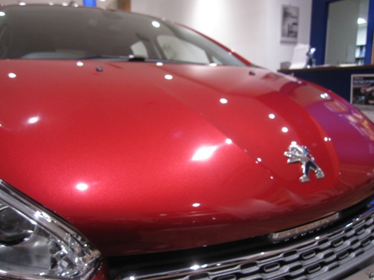 展示車入れ替えました♪