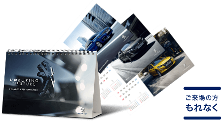 PEUGEOT WINTER DRIVE FAIR