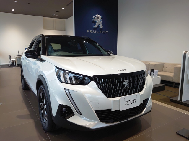 あいにくの雨天ですが、おすすめ情報です！