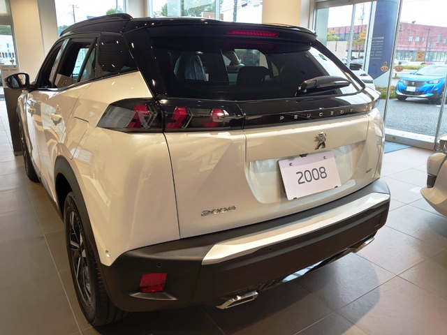 あいにくの雨天ですが、おすすめ情報です！