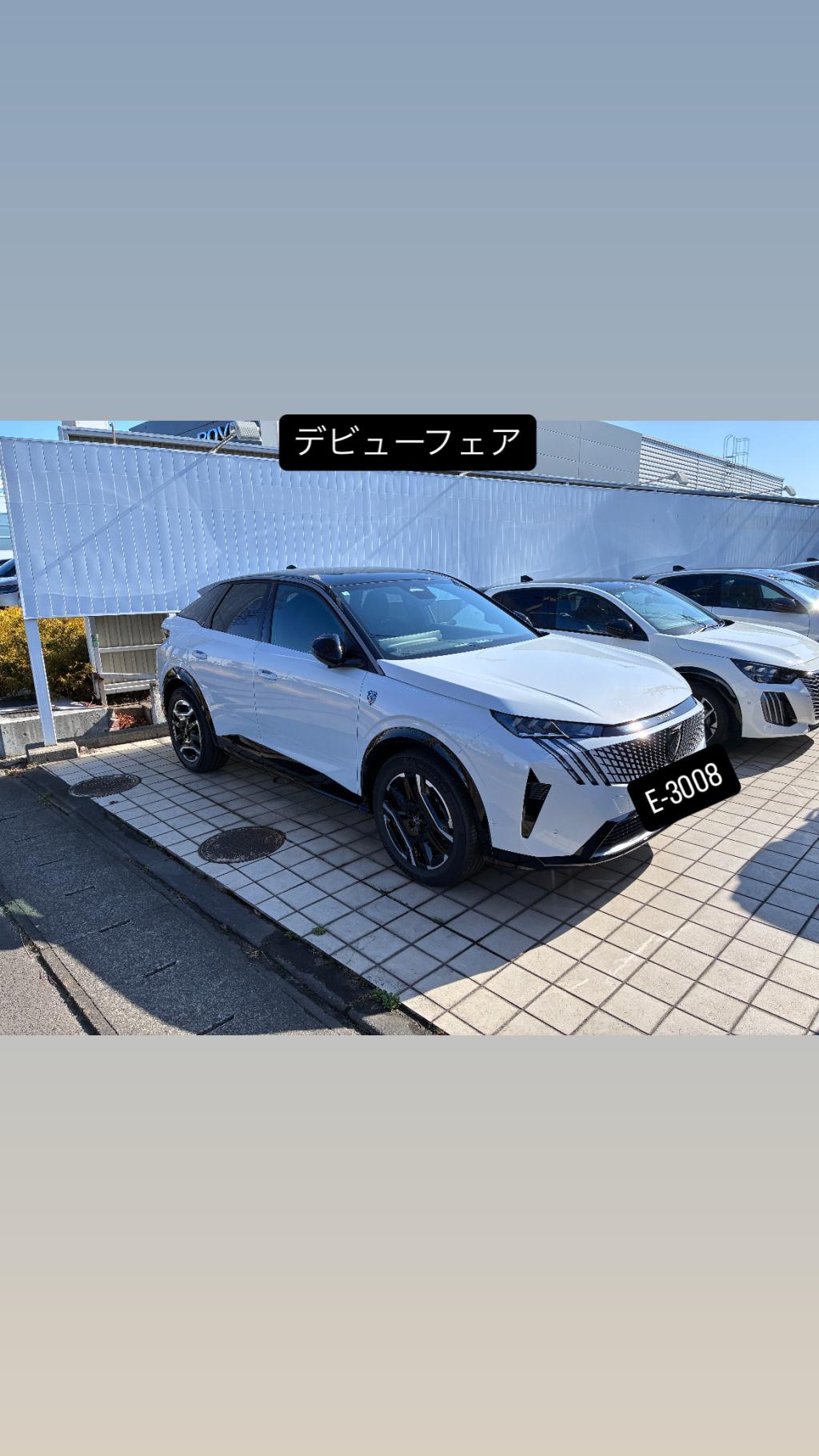 E-3008デビューフェア開催される🦁