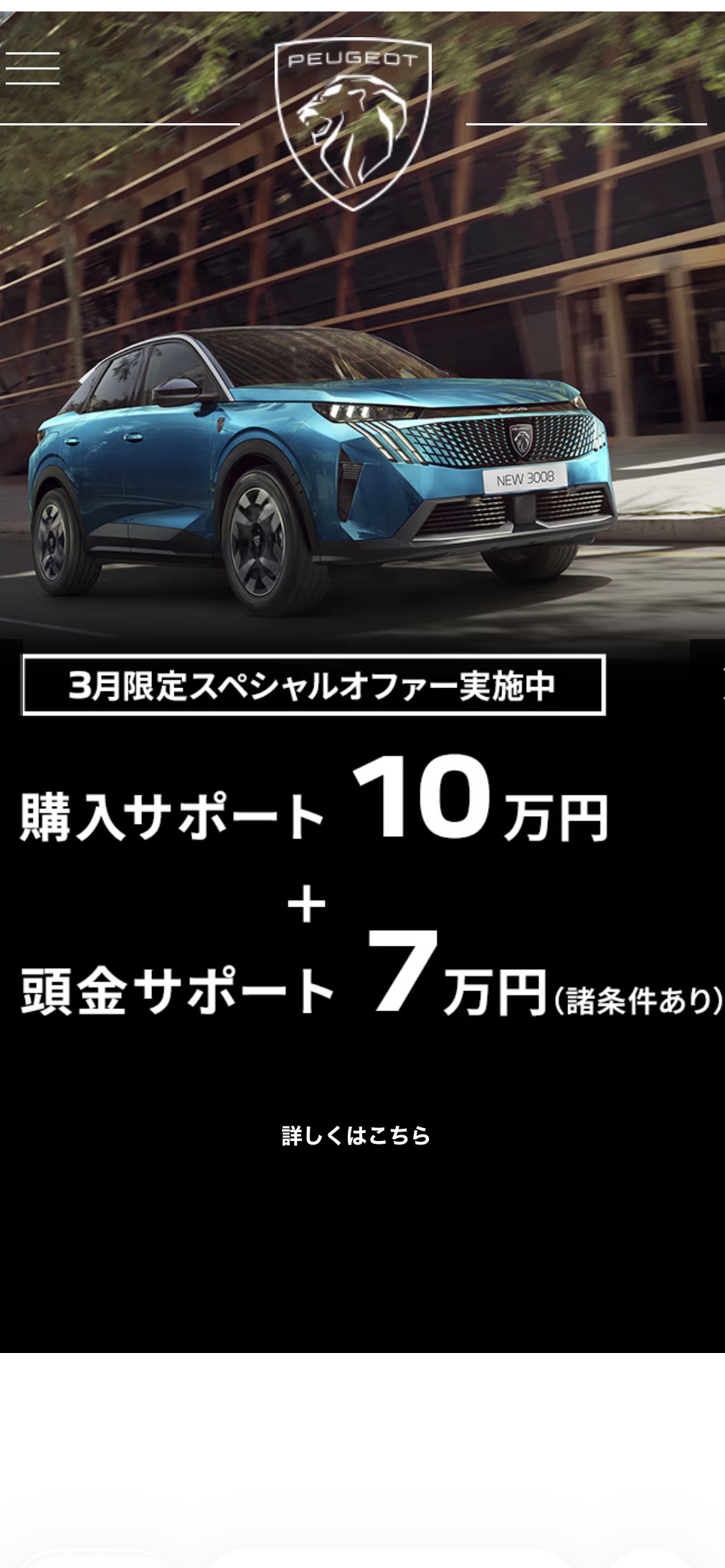 3月限定特別オファーのご案内‼️