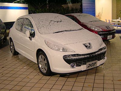 ある雪の日・・・