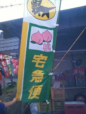 桃狩り
