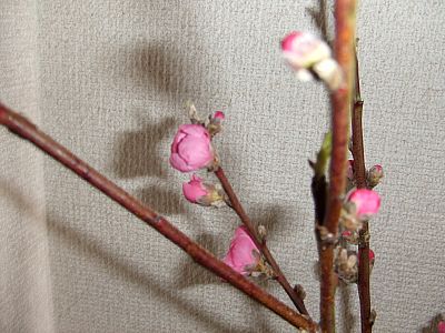 ある日の休日前夜