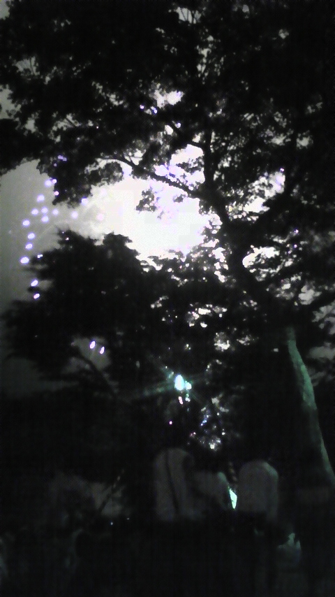 仙台七夕と花火