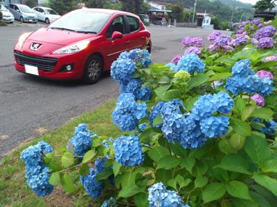 いろとろどりの