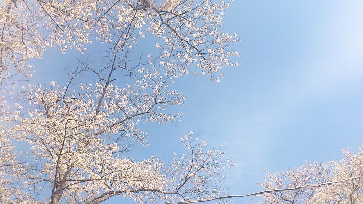 キッズルームのグッズ追加しました～