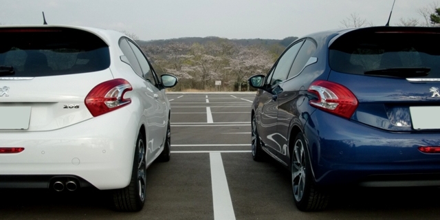 花とおはぎと２０８と