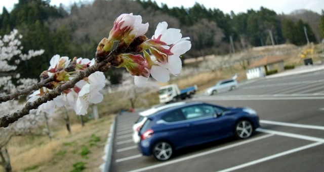 花とおはぎと２０８と