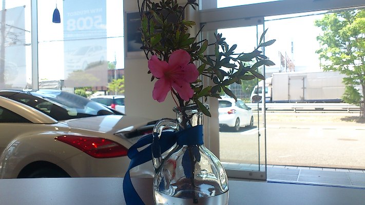 咲きました！！そして･･･