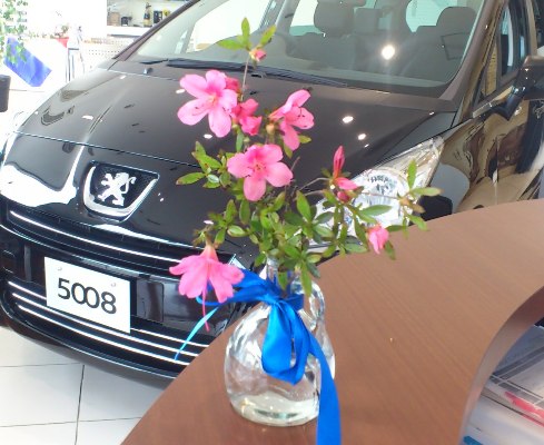 梅雨っぽく･･･？？