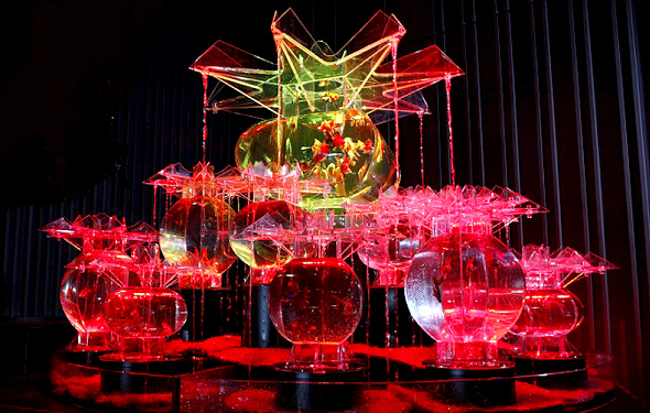 アートアクアリウム