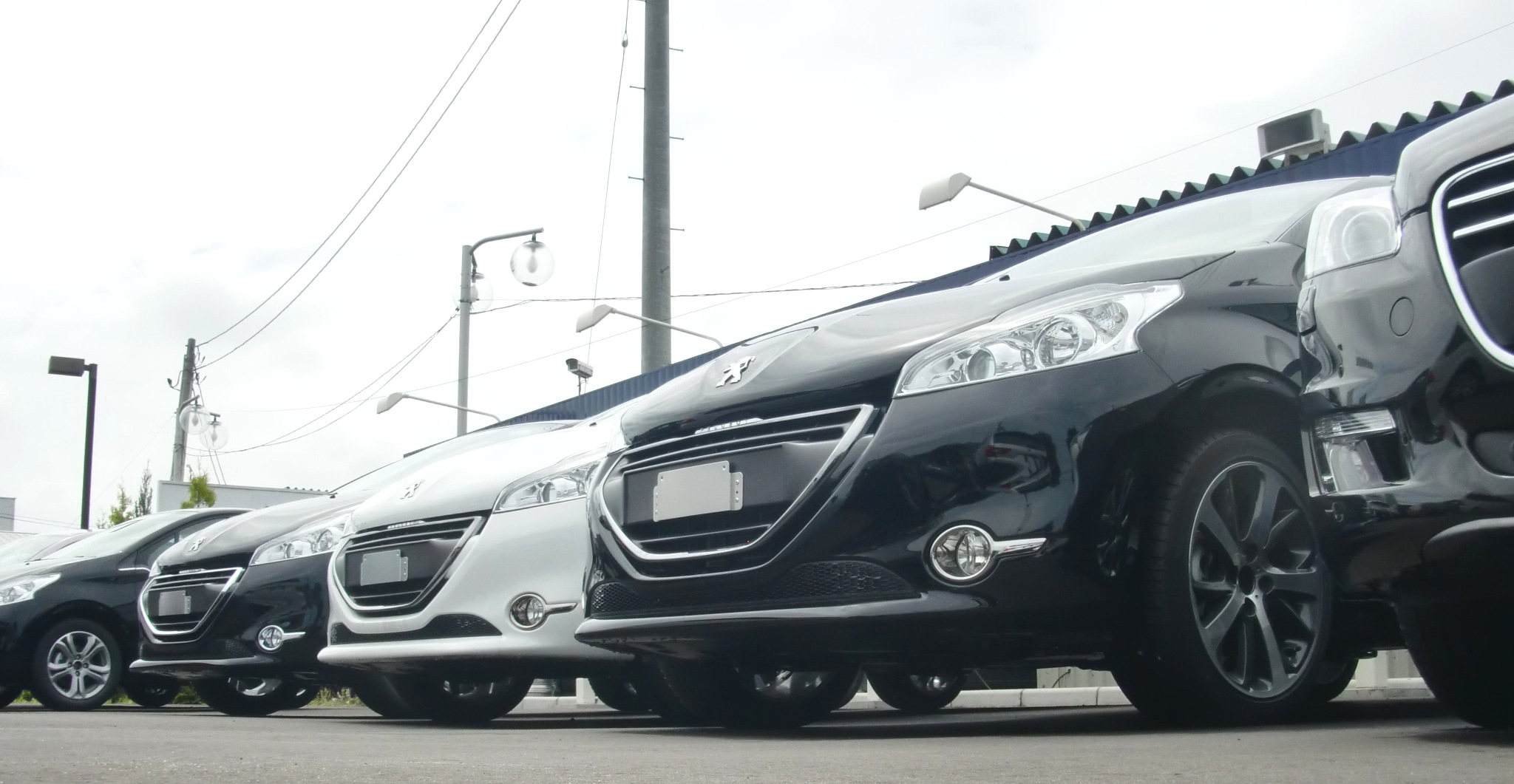 プジョー札幌西店OPEN！協賛セールのご案内