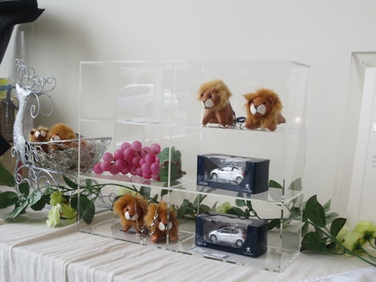 ミニカー入荷しました☆