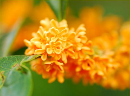 旅のおともに･･･