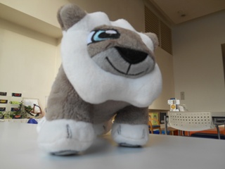 ムササビッッ！