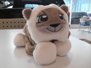 ムササビッッ！