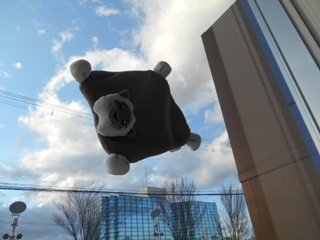 ムササビッッ！