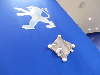 ムササビッッ！