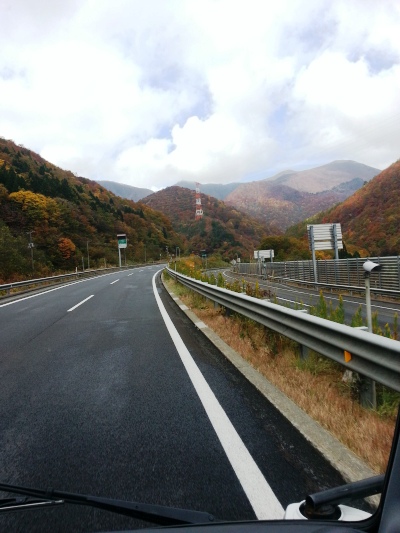 紅葉狩りですって！？