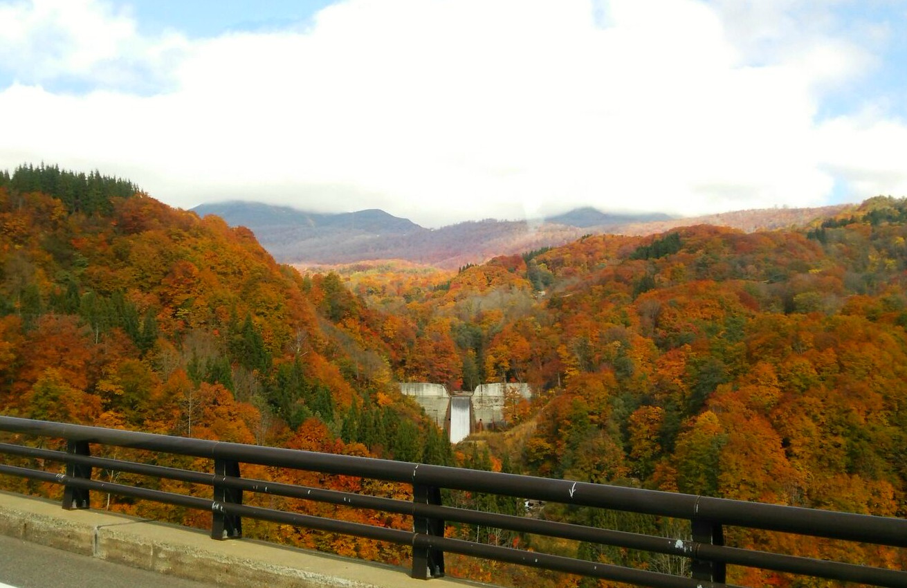 天高く　山、燃ゆる秋　最終週