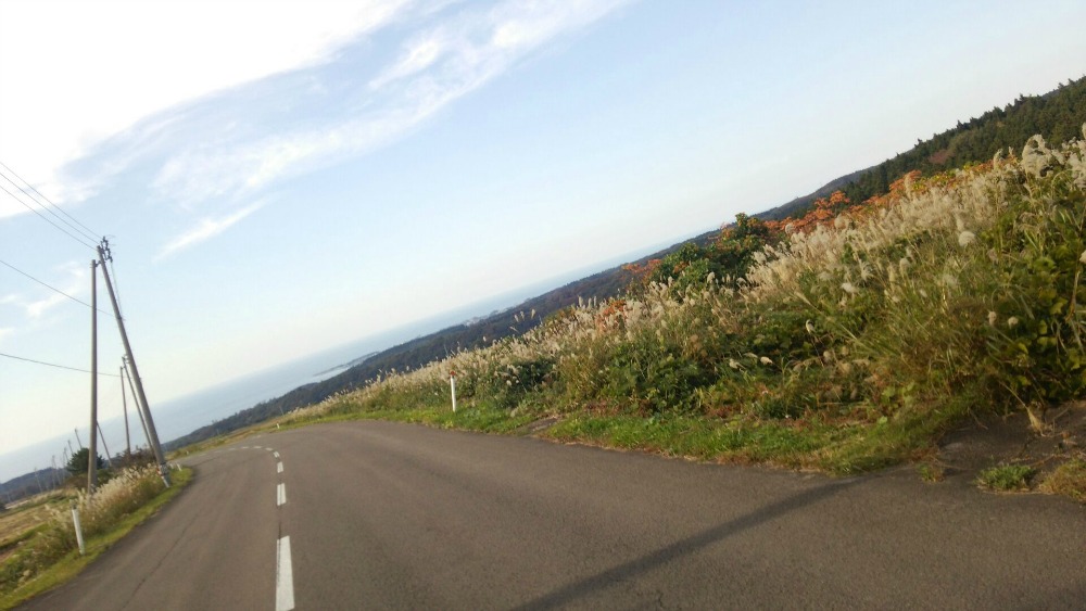 天高く　山、燃ゆる秋　最終週