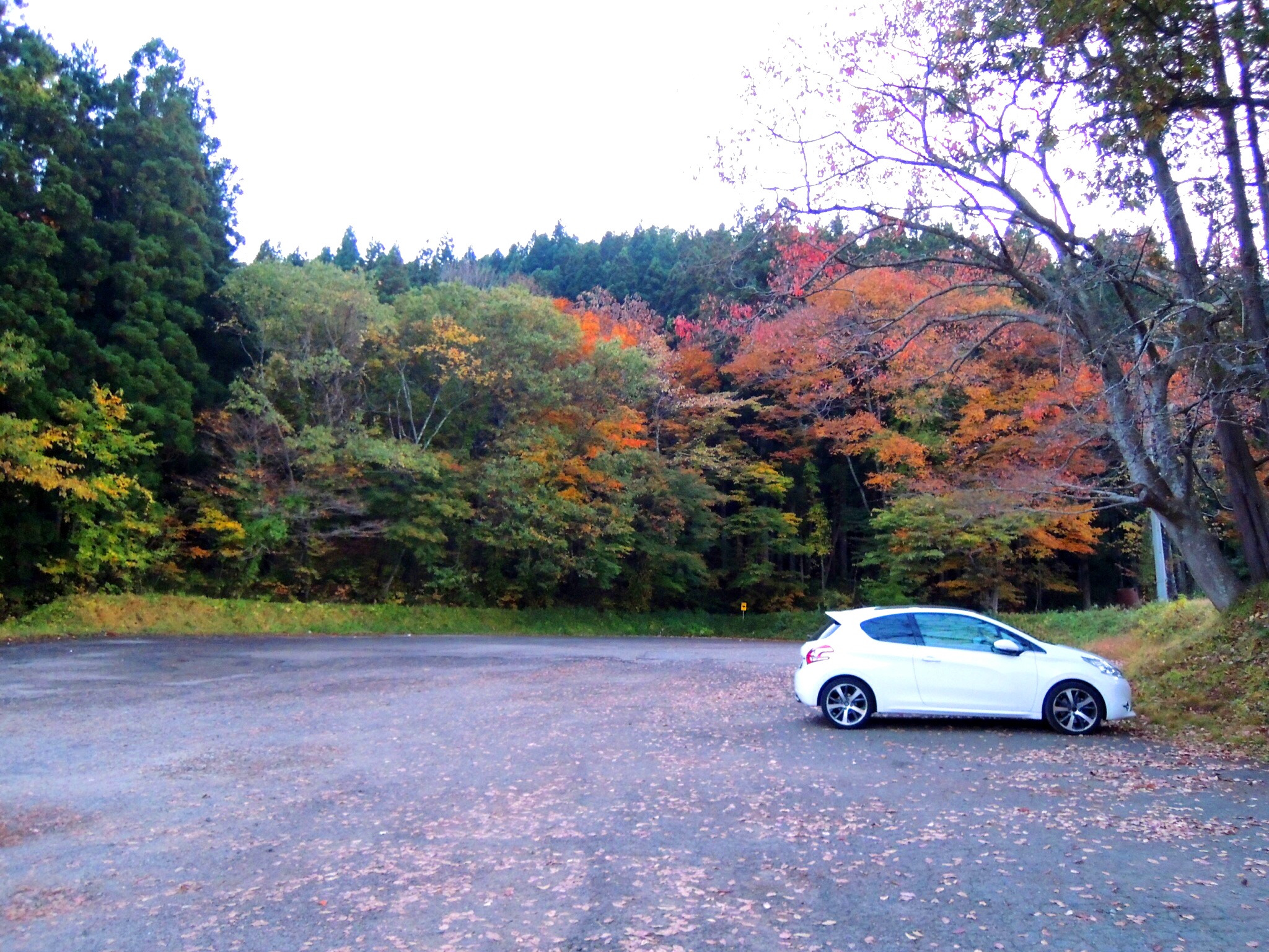 2015年は！