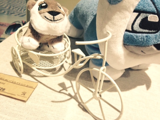 爽やかに、サワヤカニ。