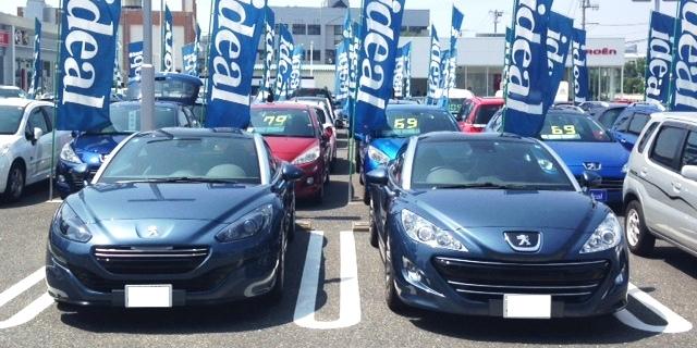 双子･･･？否！！