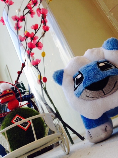 初売り開催中です♪