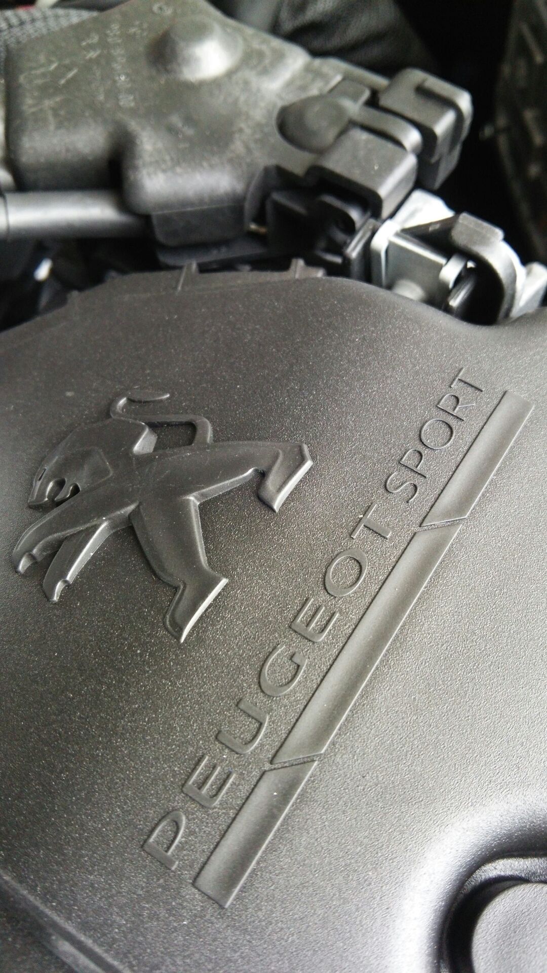 GWのイチオシ！