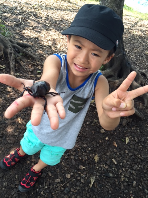 子供は夏休みなんだなぁ