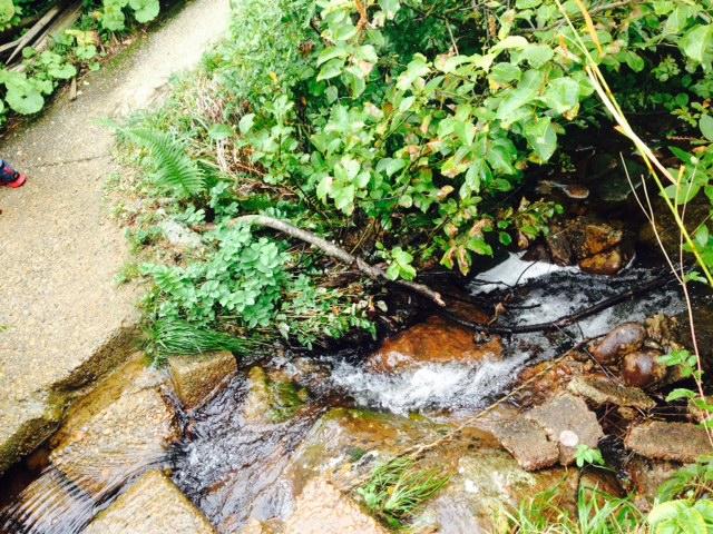 今日はみんなでハイキング