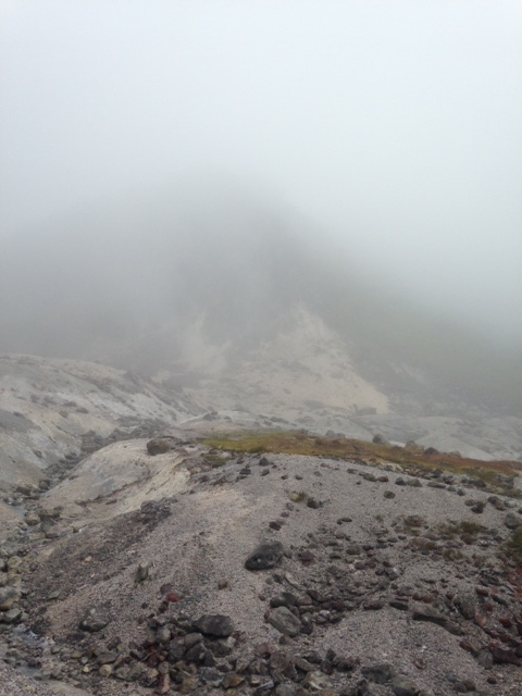 今日はみんなでハイキング