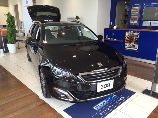 新しい展示車！