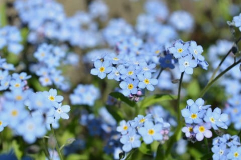 忘れないように