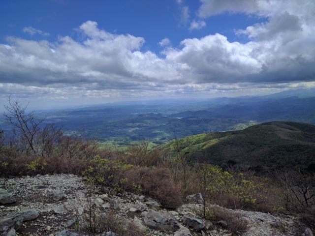 活動再開です！