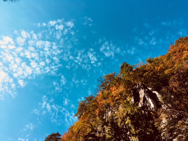 畠山と紅葉