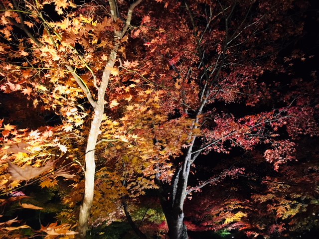 畠山と紅葉