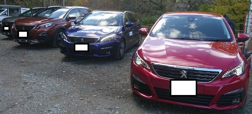 PEUGEOT LION RALLY #01 in Tohoku