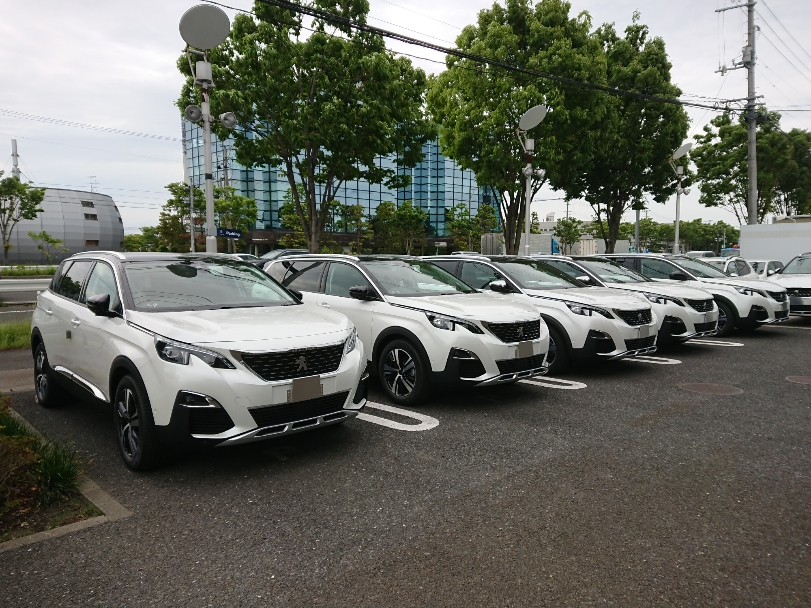 白いライオンが押し寄せるショールーム・・・