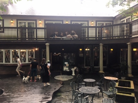 夏の終わりに振り返る