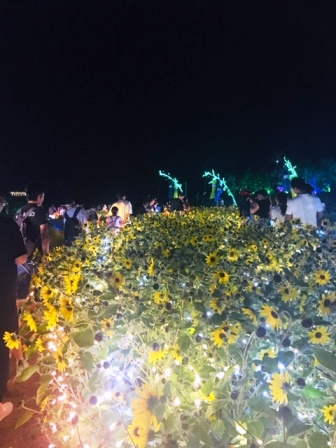 夏の終わりに振り返る