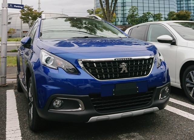 今更ですが、新色です(｀・ω・´)