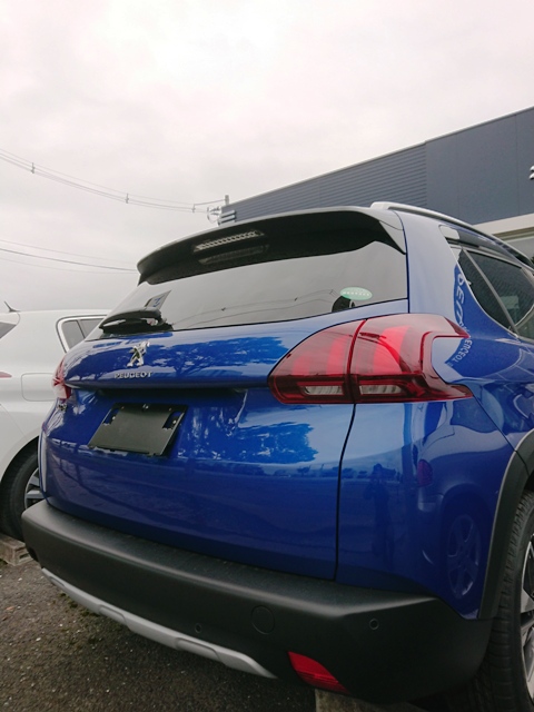 今更ですが、新色です(｀・ω・´)