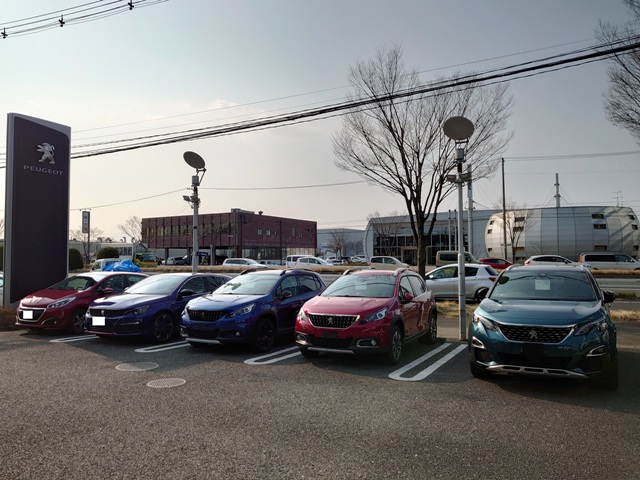 いろ、色々(*'▽')